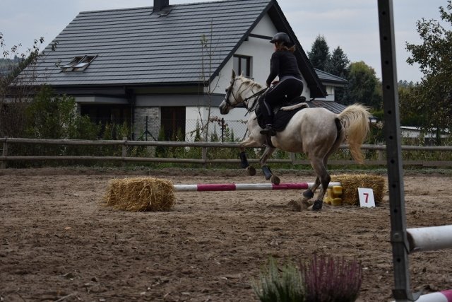 bABIE lATO 2018